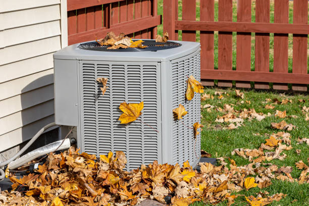 Best HVAC Repair Near Me  in Occidental, CA